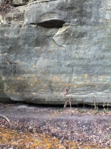 starved rock mudprints1