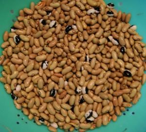 dry beans 2012