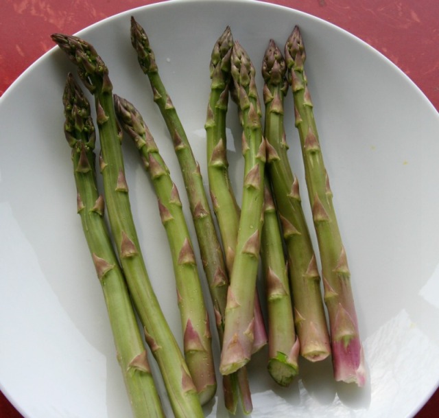 asparagus on plate 5-17-13