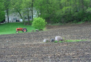 tractor and fieldstone