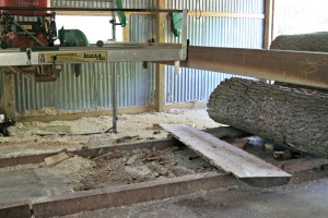 saw mill with log