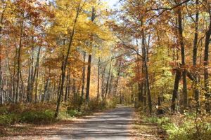 Itasca State Park 10-13 - 21