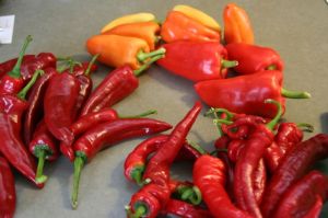 late peppers on counter 10-13