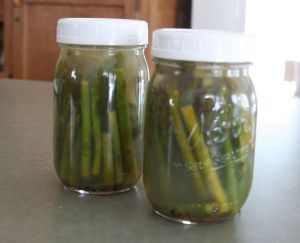 asparagus ferment done