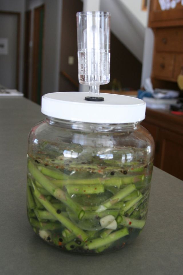 asparagus ferment1