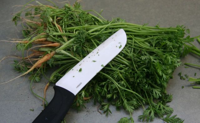 carrot greens chopped