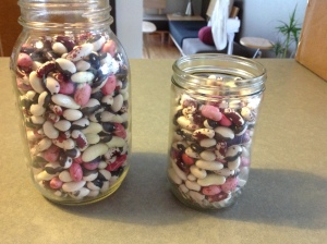beans in jars